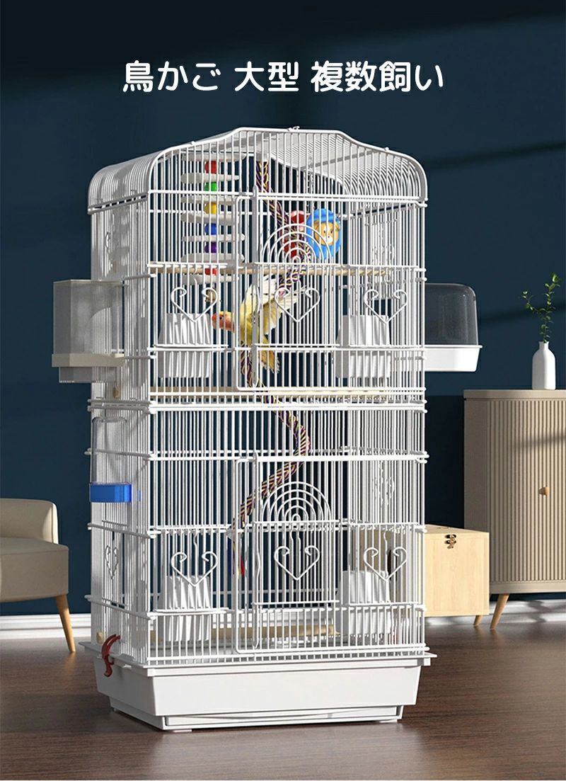 希少サイズ 完品 オウム貝の殻 大小2個セット フタゴヤシ 希少サイズ