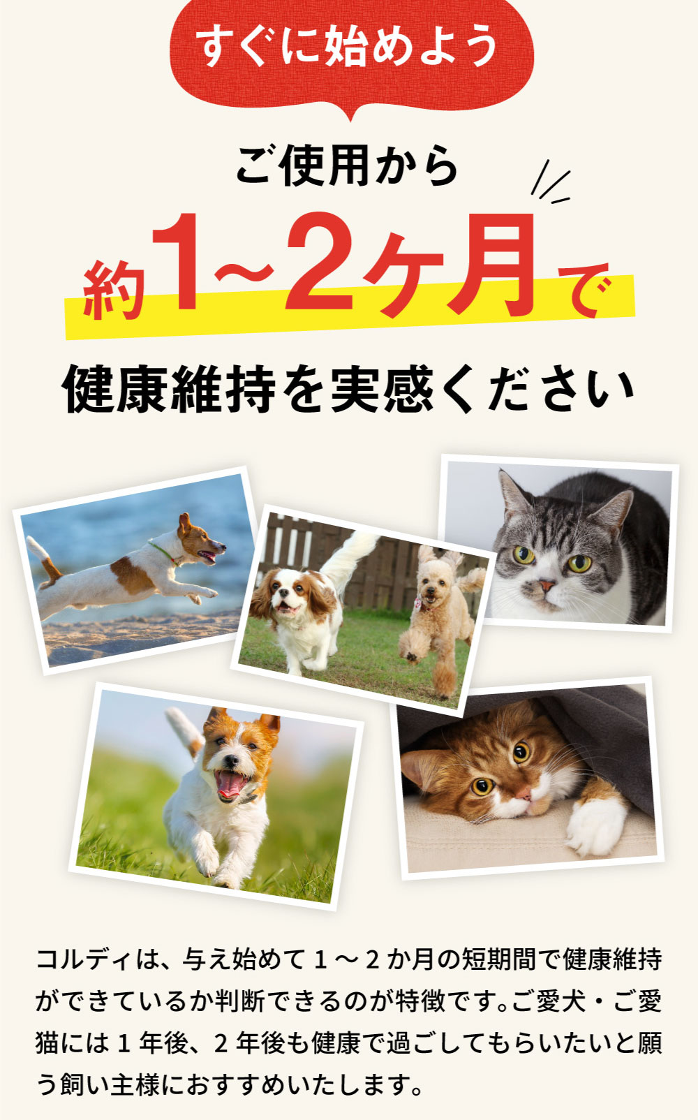 楽天市場】【”何かしてあげたい”に冬虫夏草の力】犬 猫 サプリ 犬用 猫