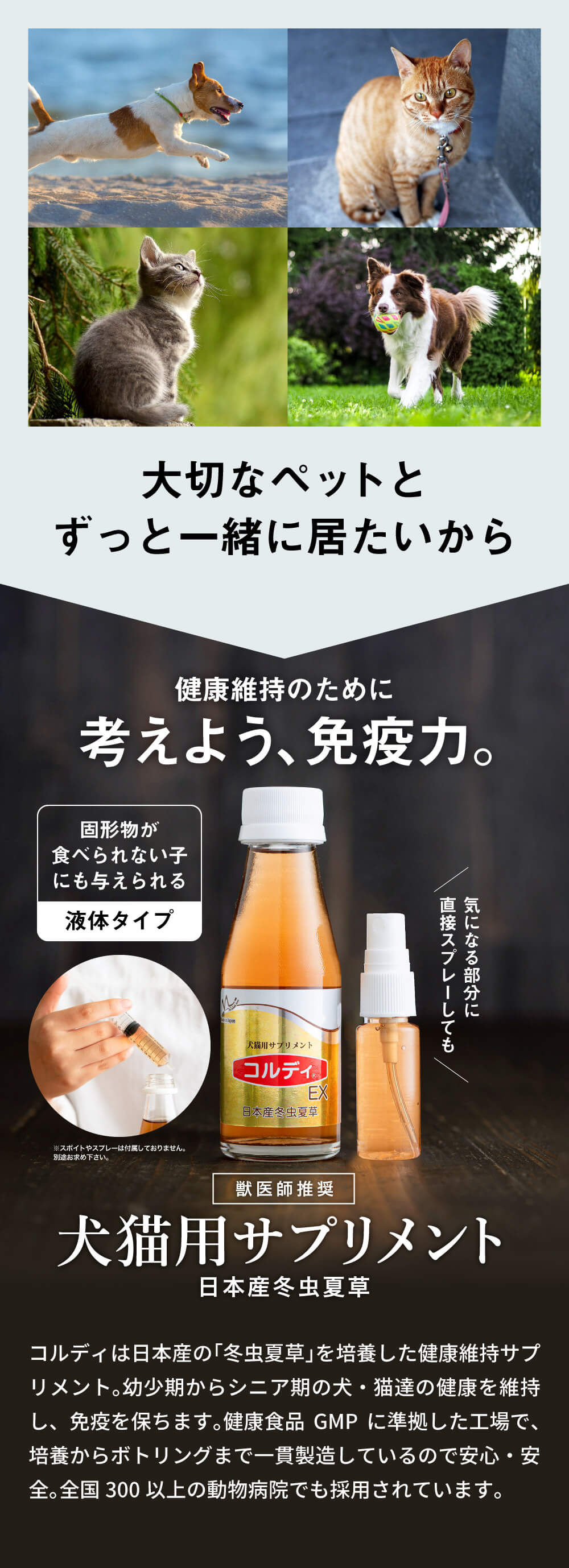 PAPA2008 コルディ EX 免疫力サプリ 100ml モノリス 犬 猫 うさぎ