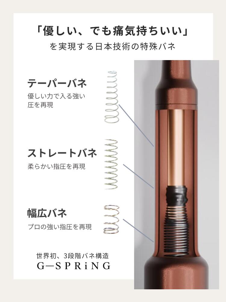 FACE POINTER II ブラウン 専用ケース付き COREFIT FACE POINTER II