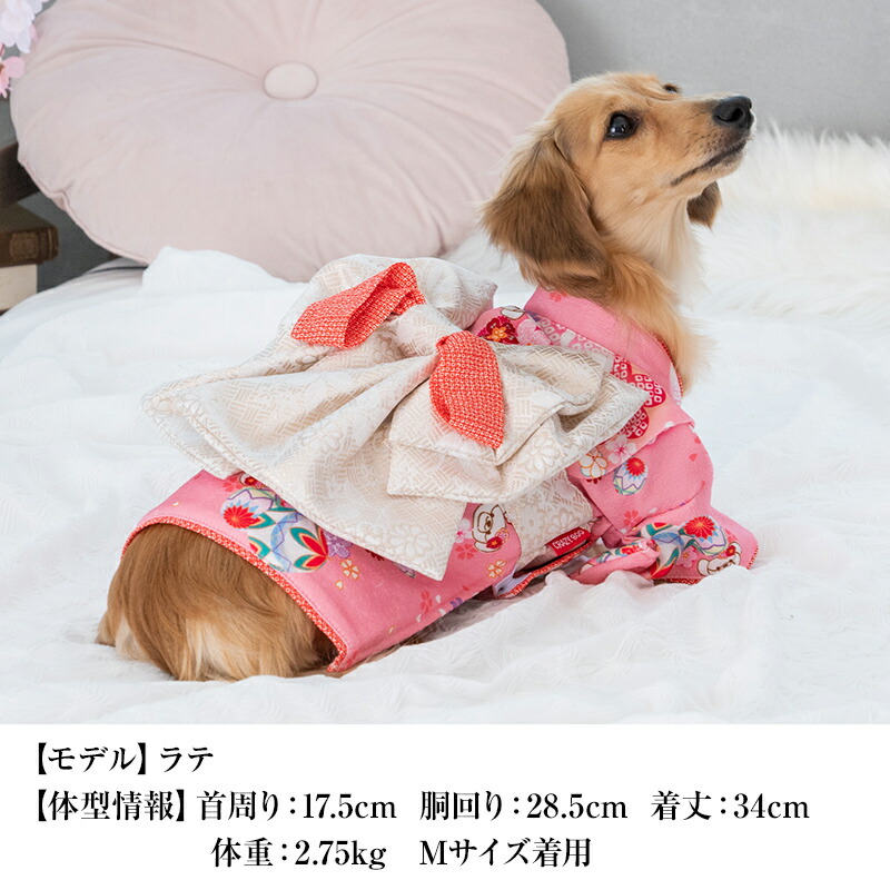 ポッキー ꒡̈⃝Lily꒡̈⃝犬服ハンドメイド ポッキー 様専用 ꒡̈⃝Lily