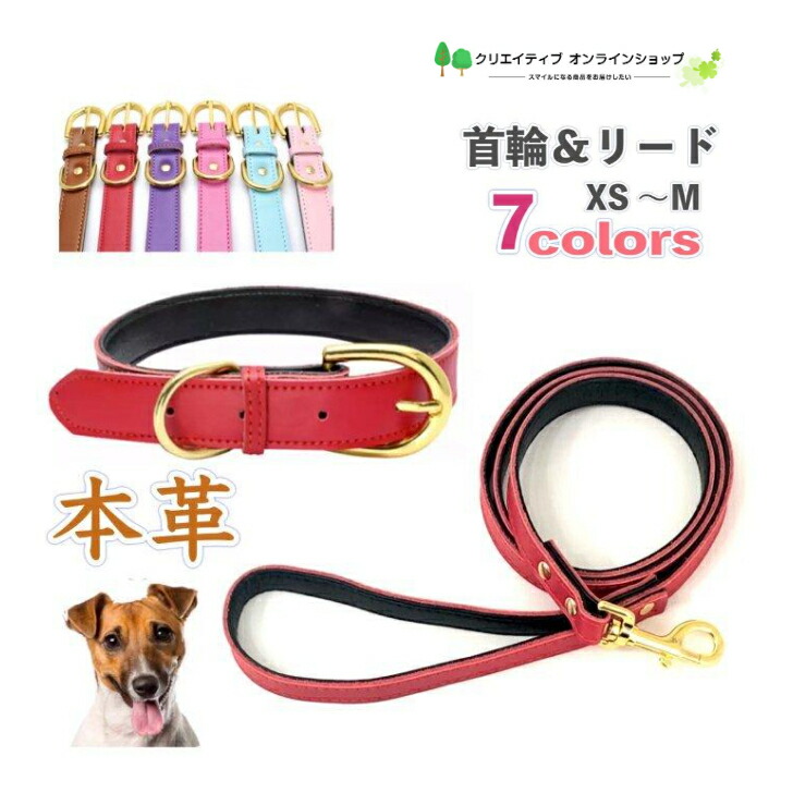 楽天市場】犬 首輪 リード セット 本革 犬首輪 おしゃれ XS S M 小型犬