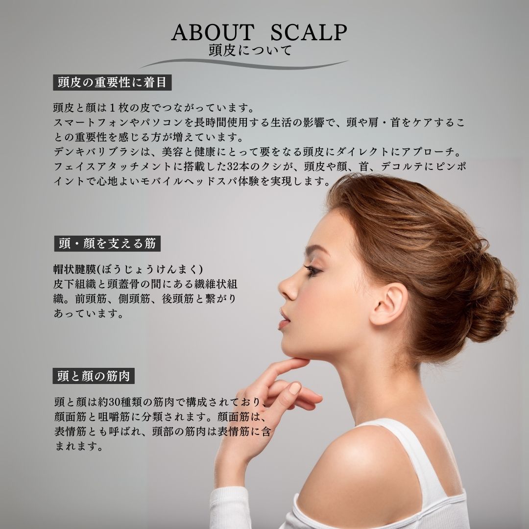 楽天市場】【正規品】デンキバリブラシ 電気バリブラシ 美顔器