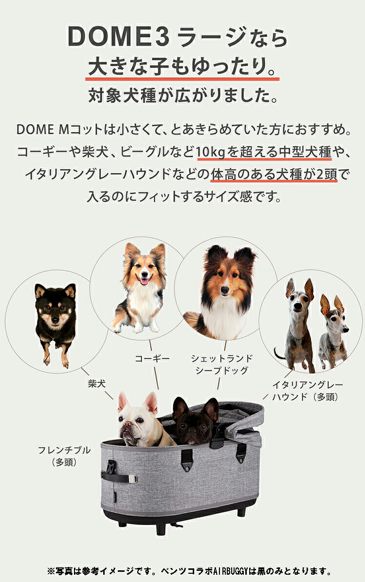 楽天市場】Mercedes-Benz × AIRBUGGY 純正 メルセデスベンツ