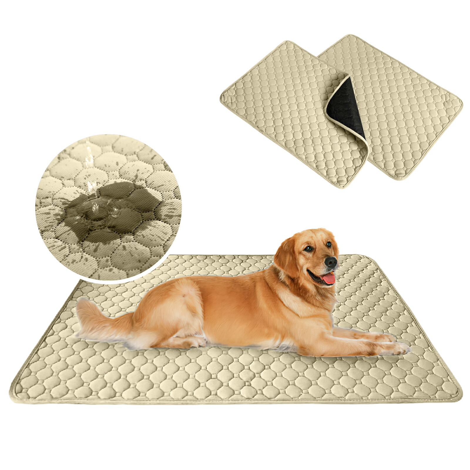 楽天市場】＼☆クーポン利用で10%OFF☆／【2枚セット】ペットシーツ