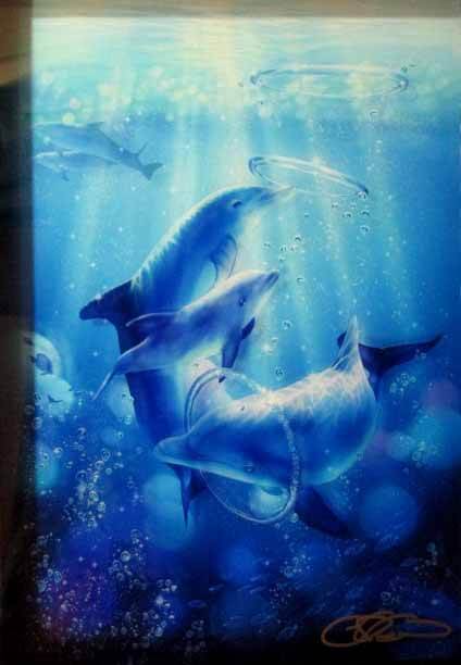 クリスチャンラッセン(ドルフィンシンフォニー(S)) クリスチャン