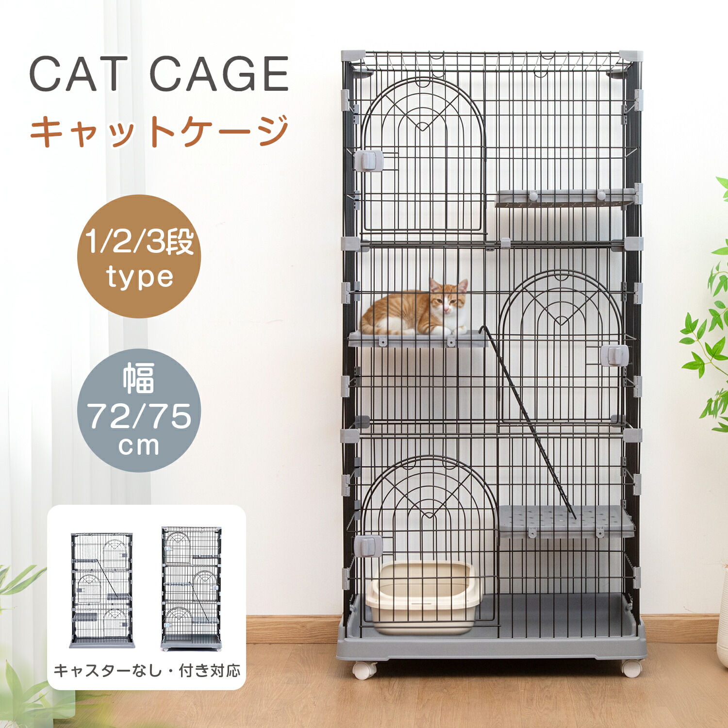楽天市場】【期間限定15%OFF～さらに最大16%OFFクーポン！！】猫