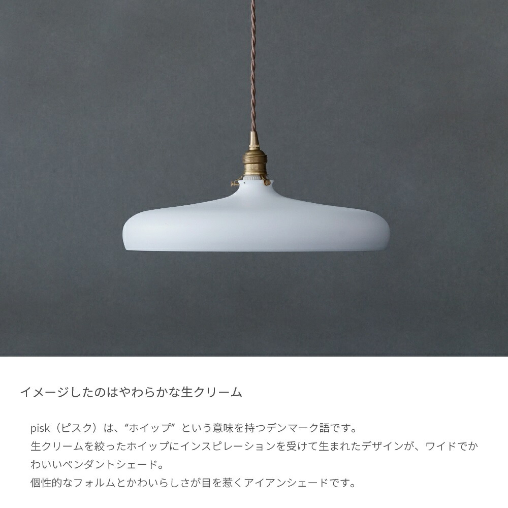 EGC102 展示品 PERGOLA ペンダントライト アイアンシェード EGC102