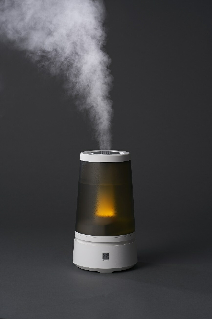 楽天市場】マクセル maxell OXY MIST（オキシミスト）技術搭載 消臭