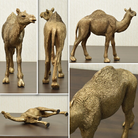 楽天市場】Rashid ラシード ブラウンキャメル ラクダの置物 飾り