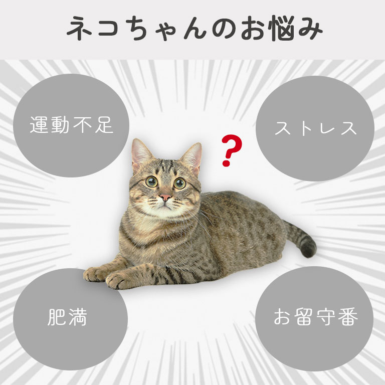 楽天市場】運動不足解消 キャットホイール 直径80cm ルームランナー 猫