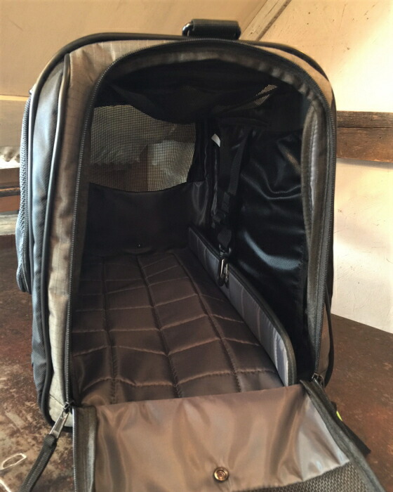 楽天市場】数量限定！送料無料！SEVEN SEAS DOGセブンシーズドッグNEW