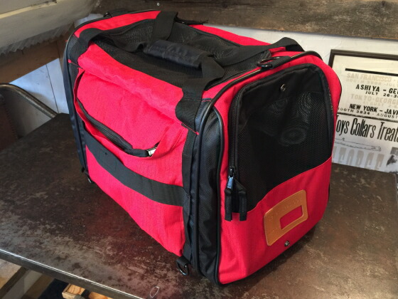 楽天市場】数量限定！送料無料！SEVEN SEAS DOGセブンシーズドッグNEW