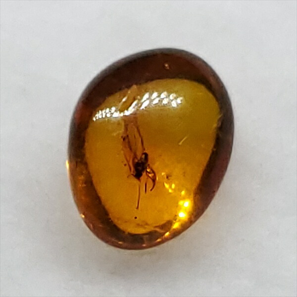 楽天市場】【送料無料】【琥珀/虫入り/anber化石】 美品 虫入り琥珀