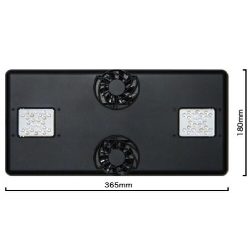 楽天市場】[ワイヤーセット]ボルクスジャパン グラッシーコアX120