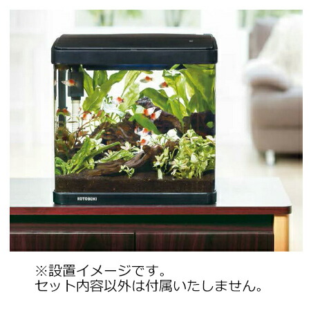 楽天市場】コトブキ工芸 デビュー N325 高精度曲げガラス水槽+LED