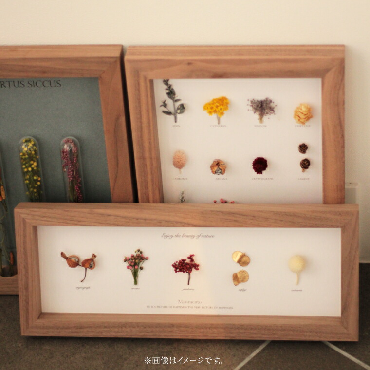 楽天市場】お花付 すぐ飾れる フラワーフレーム Moemento ボタニカル