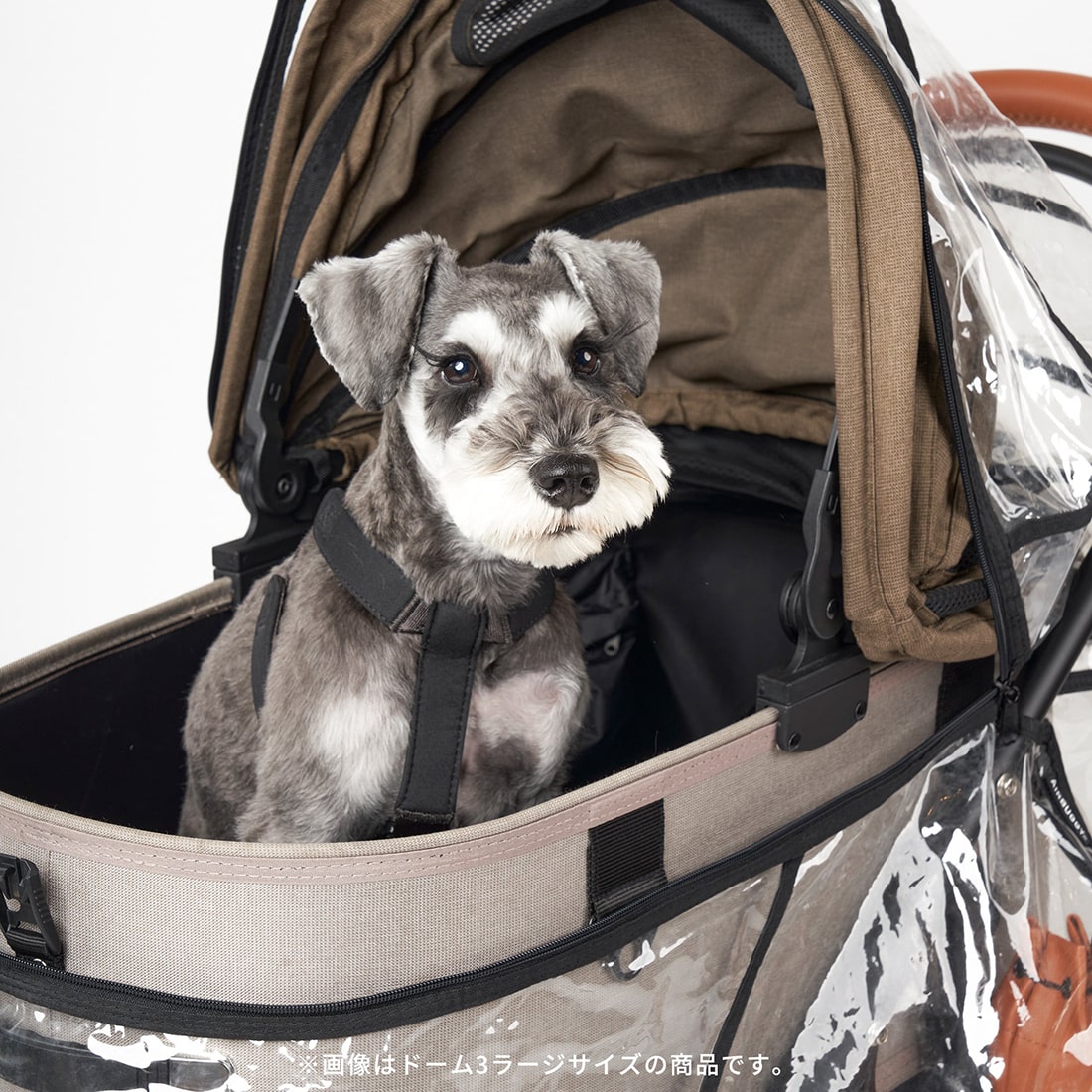 楽天市場】【公式】エアバギー ドーム3 レギュラーサイズ専用 レイン