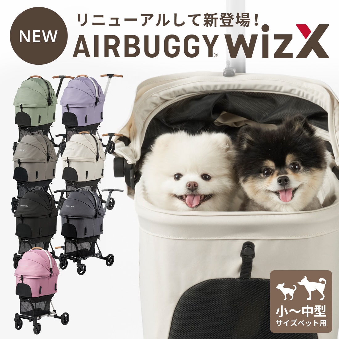 楽天市場】【メーカー公式】 【お買い物マラソン期間ポイント5倍