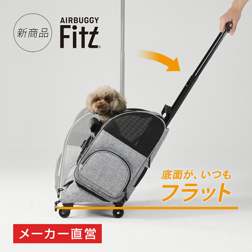 楽天市場】メーカー直営 エアバギーフィット 耐荷重10kg[公式直営
