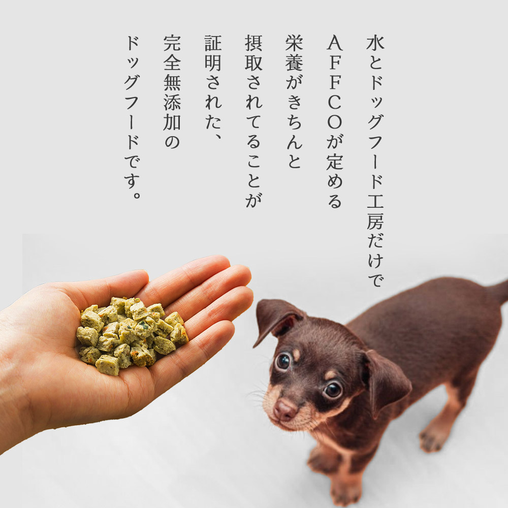 楽天市場】【公式 ドッグフード工房】ドッグフード 無添加 国産 馬肉