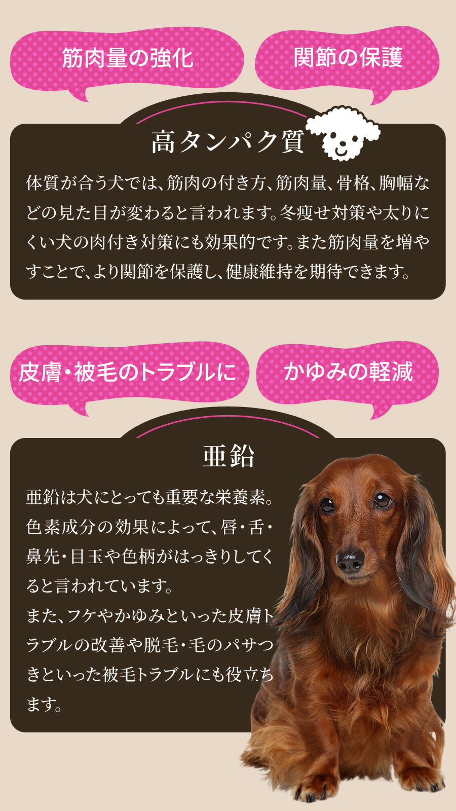 楽天市場】ブラックウッド パピー 20kg（分包4袋入）＋選べるおまけ