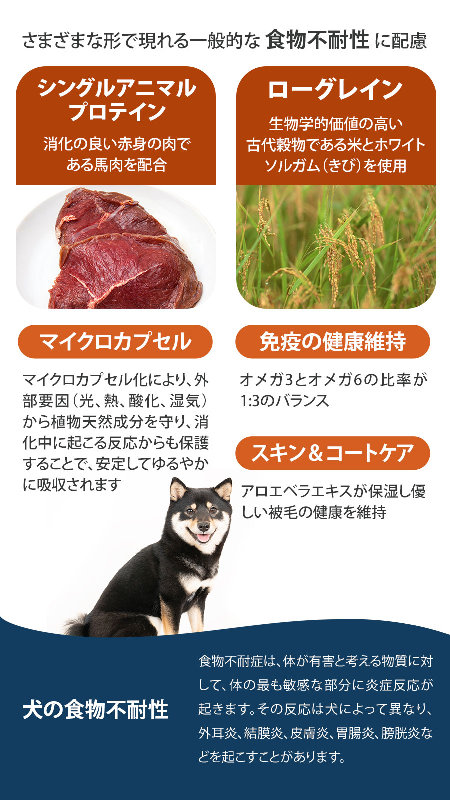 楽天市場】フォルツァ10 FORZA10 デイリープロ アダルトミニ ホース