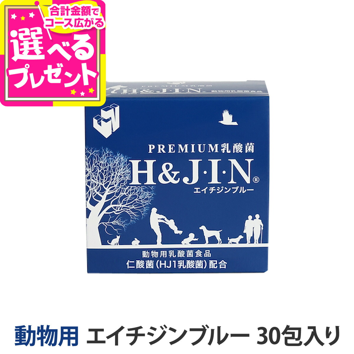楽天市場】【リニューアル品】Premium乳酸菌 H＆JIN エイチジンブルー