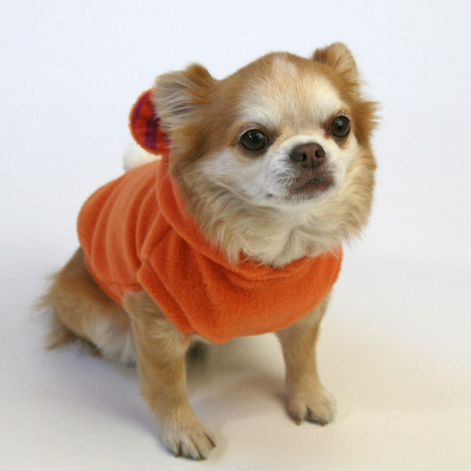 PEACEプロフ一読お願いします 様 peak 冬 犬服 PEACEプロフ一読お願い