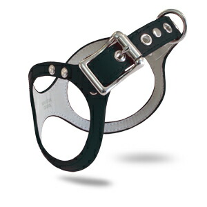 楽天市場】バディーベルト ハーネス 3.5号 ラテ Latte 小型犬 ペット