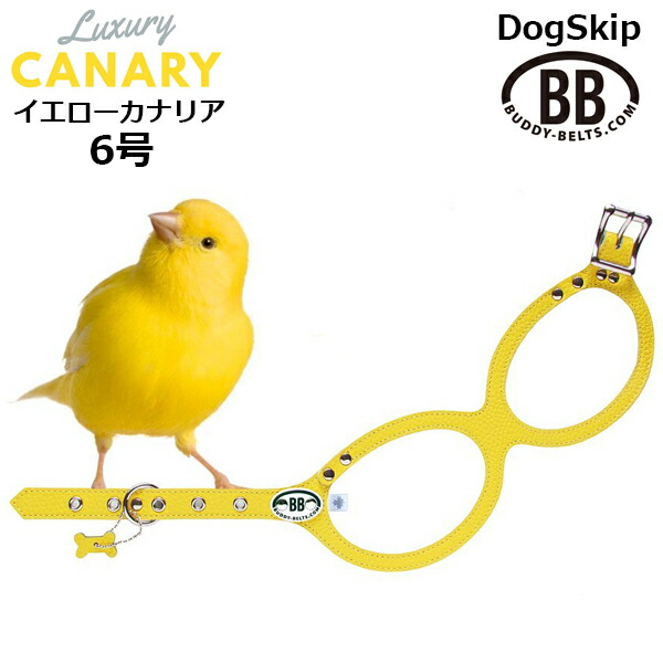 楽天市場】バディーベルト ハーネス 6号 カナリア Canary イエロー