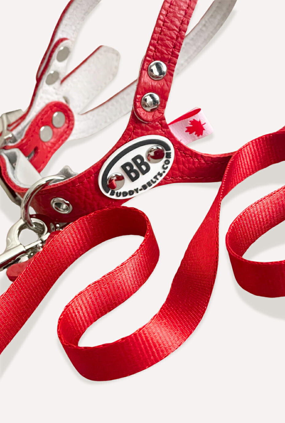 楽天市場】BBアクセントレザーナイロンリード Sサイズ BUDDY BELT