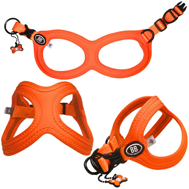 楽天市場】バディーベルト BBスポーツハーネス 6号 小型犬 ペット