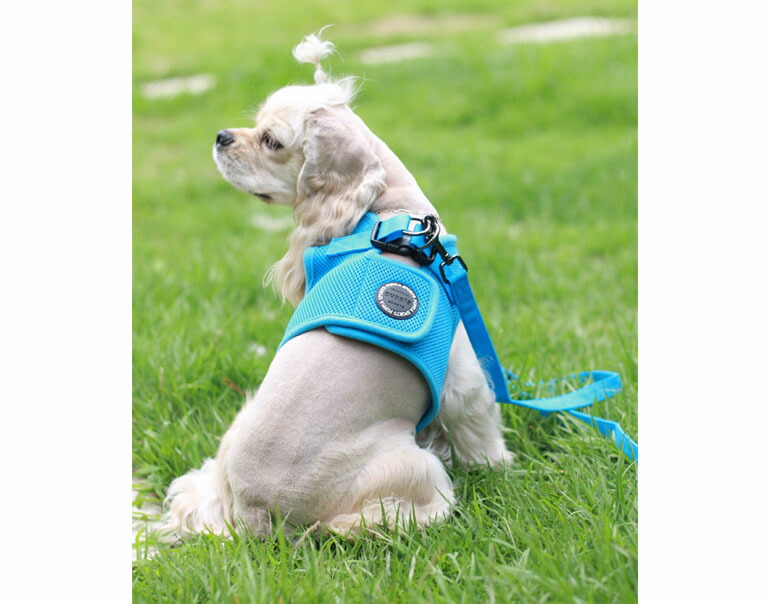 楽天市場】世界累計140万個突破！胴輪部門100週連続1位獲得！PUPPIA