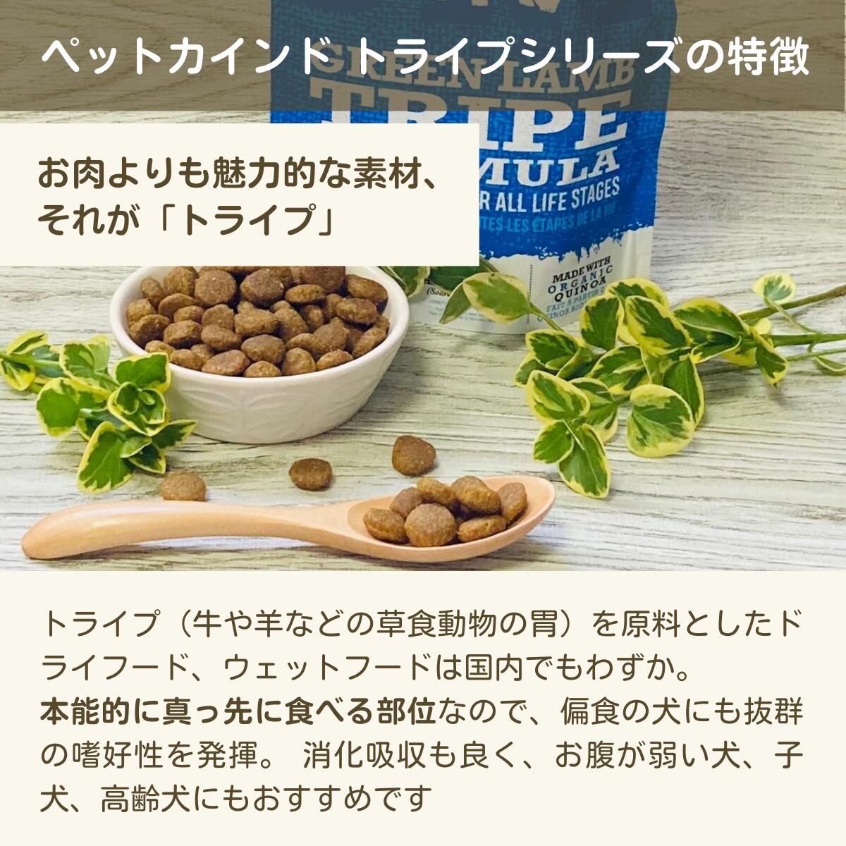 楽天市場】ペットカイン ドグリーンラムトライプ 11.34kg 正規品