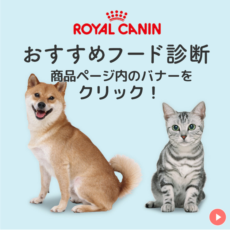 楽天市場】【セットはさらにお得！】ロイヤルカナン マザー＆ベビー