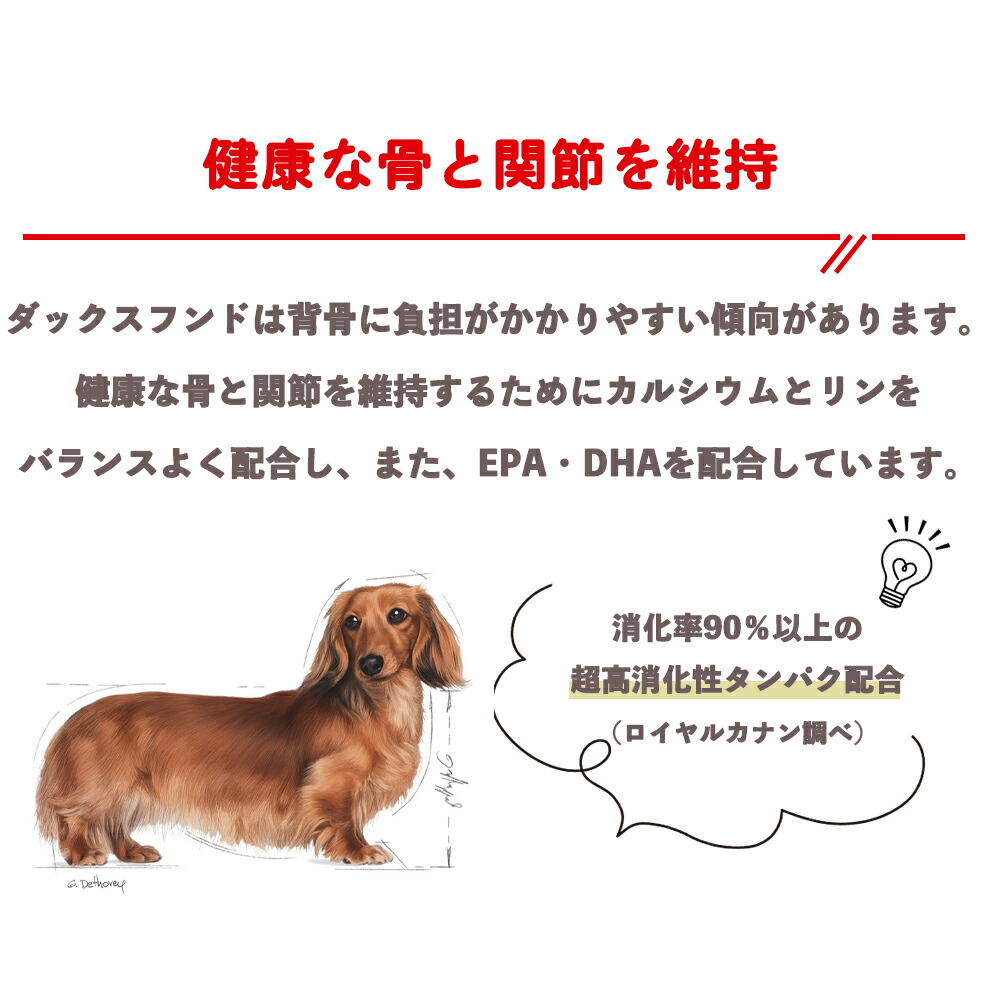 ロイヤルカナン ダックスフンド 12kg 訳あり ロイヤルカナン ダックス