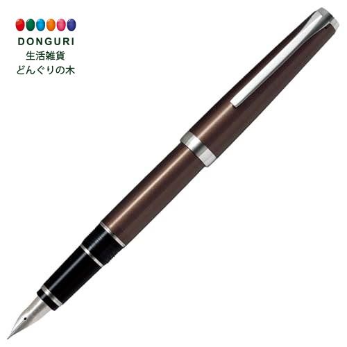 14K PILOT 万年筆 金色クリップ付き 値段相談可 パイロット 万年筆 14