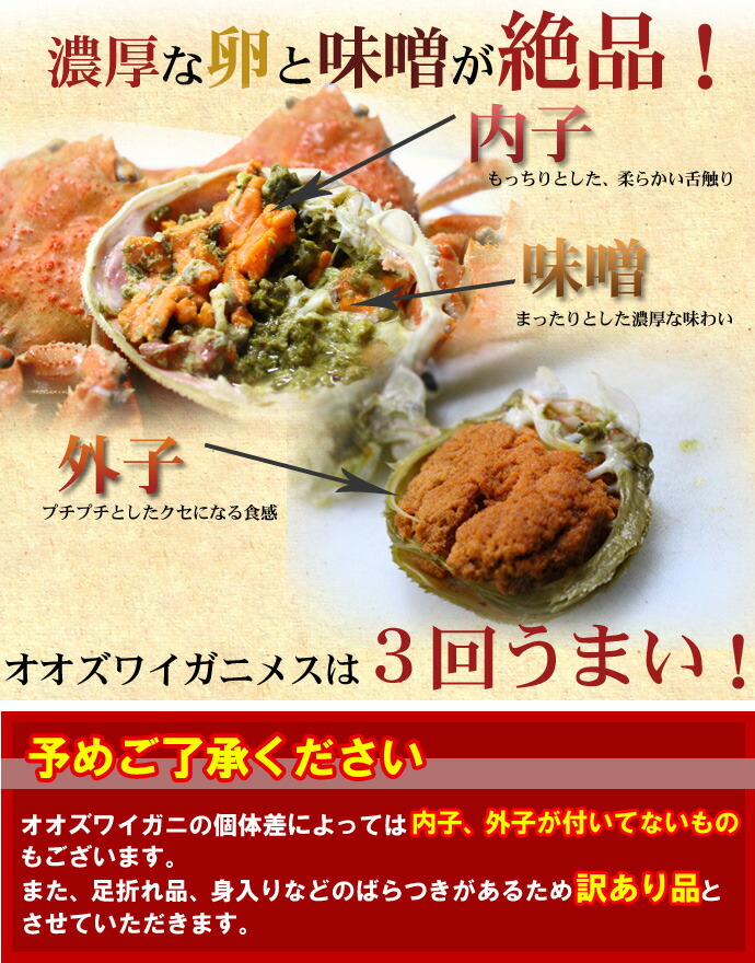 楽天市場】オオズワイガニ メス 活 訳あり 北海道産 4kg（約13−25尾入