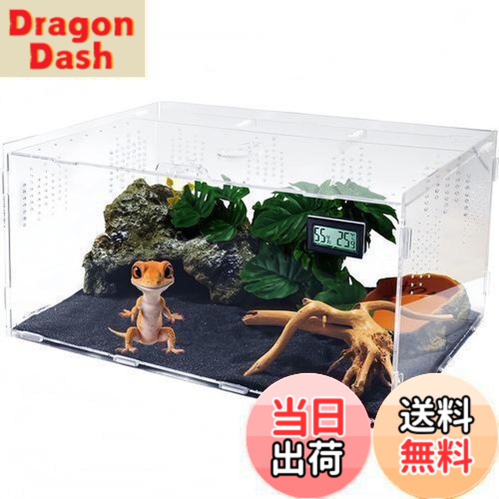 Niesporek 爬虫類 トカゲ ケージ カナヘビ飼育ケース レプタイル