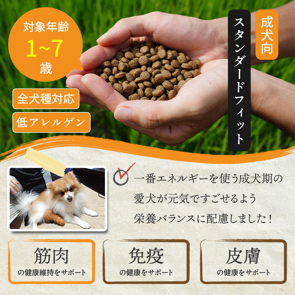 楽天市場】ネイティブドッグ 国産 低刺激 ドッグフード 3kg