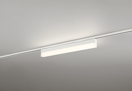 ダクトレール用ベースライト 600mm （昼白色） 2本セット ダクトレール
