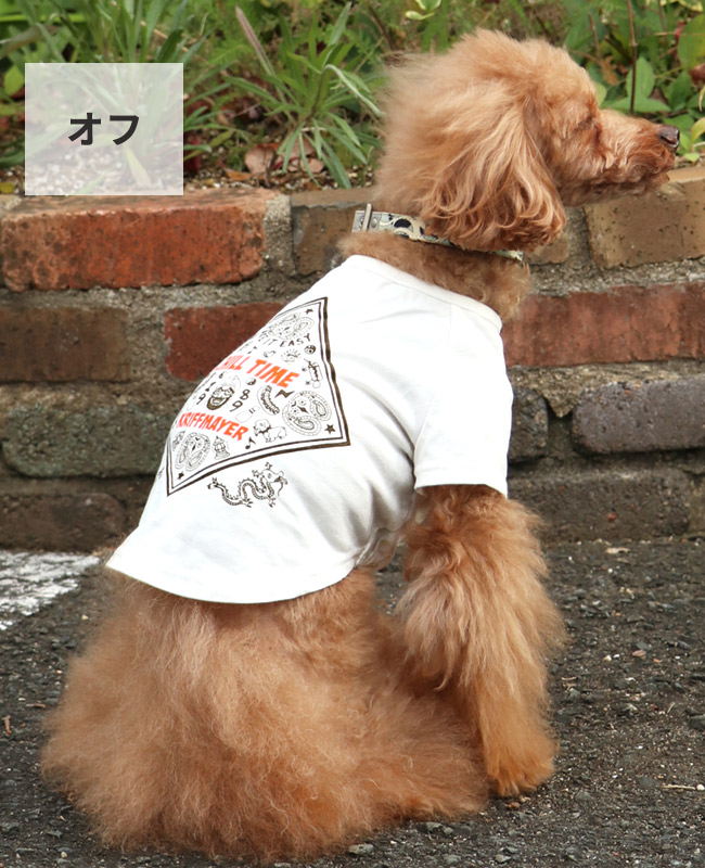 楽天市場】【ブランド直営】 チルタイム T バンダナDOG ドッグ