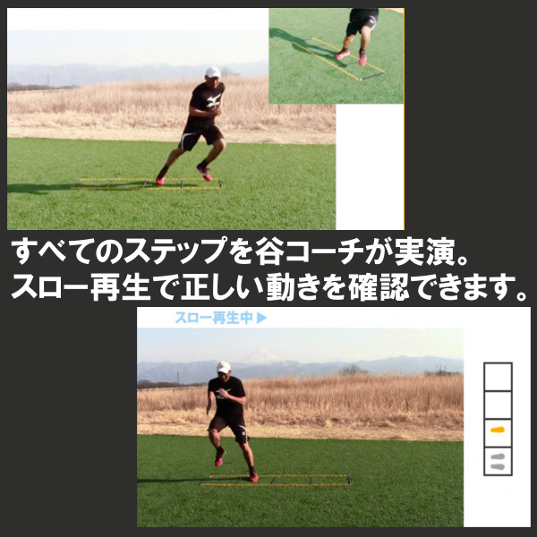 谷 真一郎監修 タニラダー ジュニア用 DVD付 公式】タニラダー販売