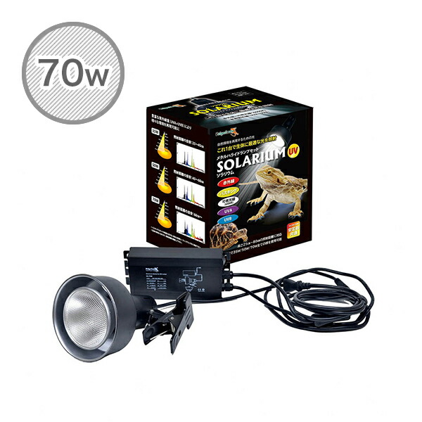 スドー ソラーレ UV70 メタルハライドランプ 専用スタンド・交換球2個