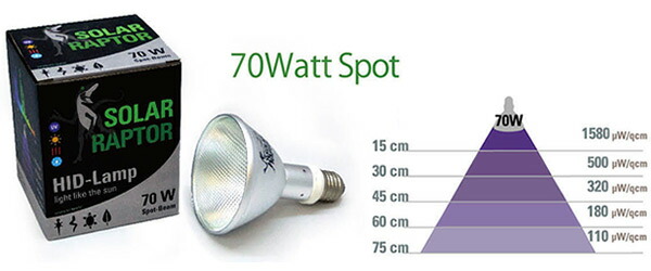 楽天市場】SOLAR RAPTOR HIDランプ 70W ソーラーラプター ソーラー