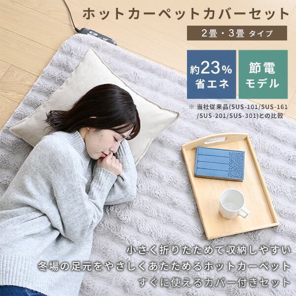 今だけ！タイマー機能付き ヒートマット ベルベットベッドカバー 2点