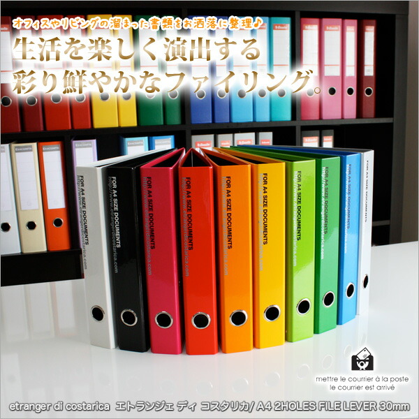 アール・アイ ファイル・カテナチオ データ保護ソフト Windows 新品