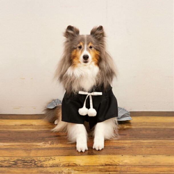 楽天市場】犬服 袴 中型犬 大型犬 羽織はかま 6号 7号 8号 お正月 結婚