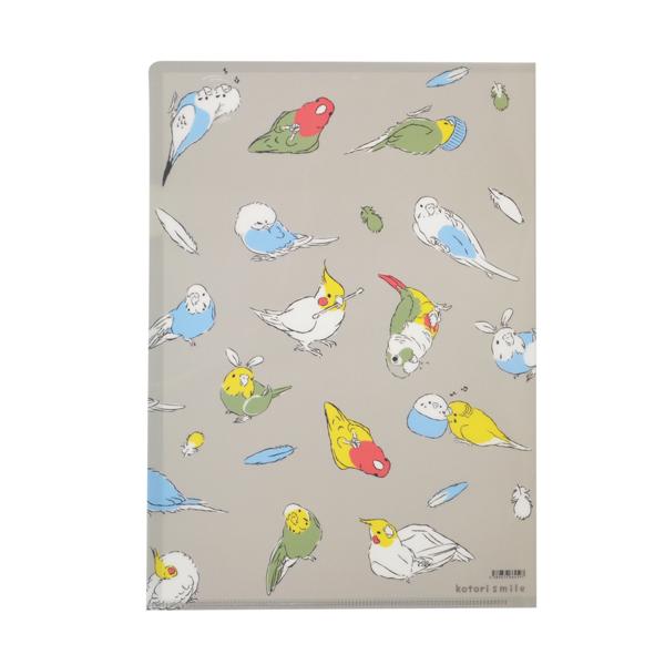 楽天市場】A4クリアファイル カラフルインコ ◇ゆうパケット対応
